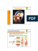 Embriologia - Segmentação e Gastrulação PDF