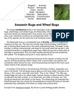 Wheel Bug Minibook and Info