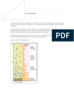 Diferencia Entre Depositos Tipo Placer