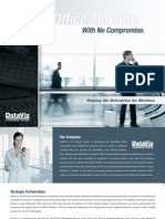 DataViz Company Overview