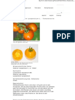 Chello - Solanum Lycopersicum L