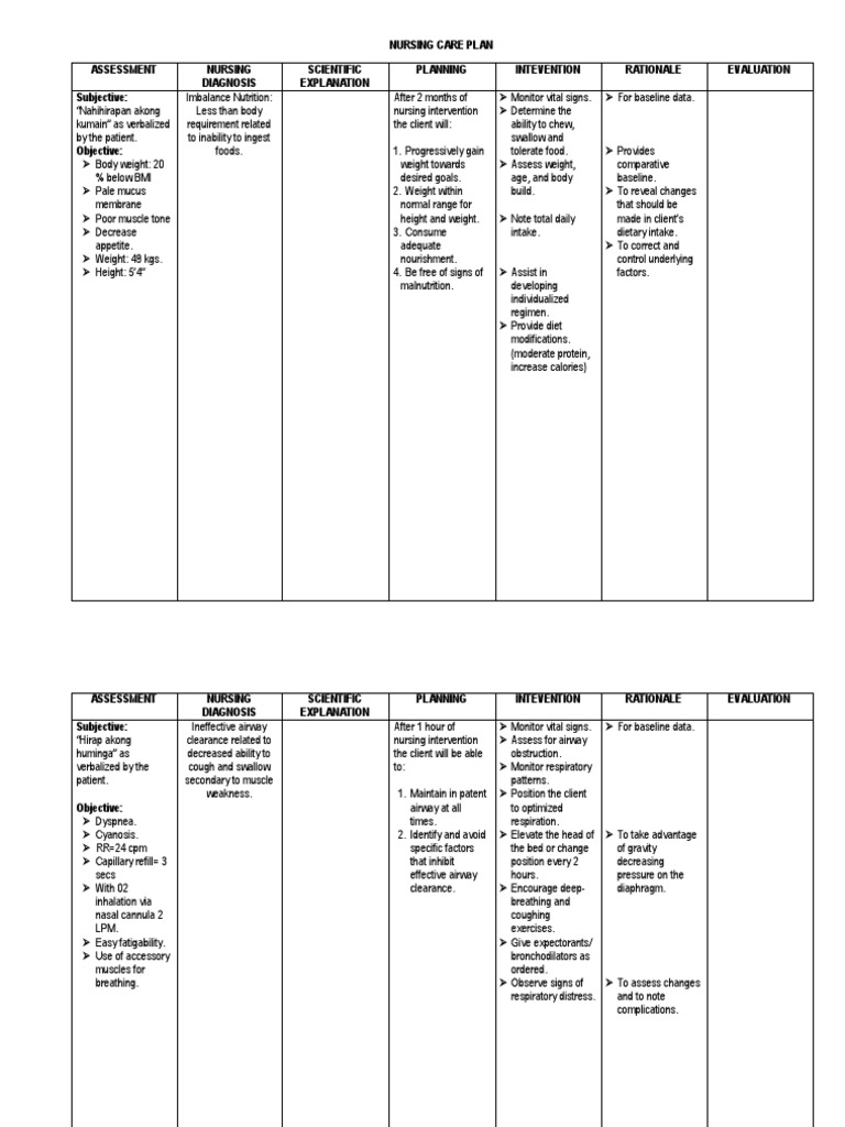 Nursing Care Plan | PDF | Respiratory Tract | Nursing