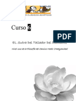 Curso 6 EL Sutra Del Tallador Del Diamante PDF