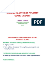 Imaging in Anterior Pituitary Gland Diseases (Without Images)