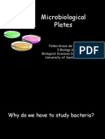 Microbiological Test 