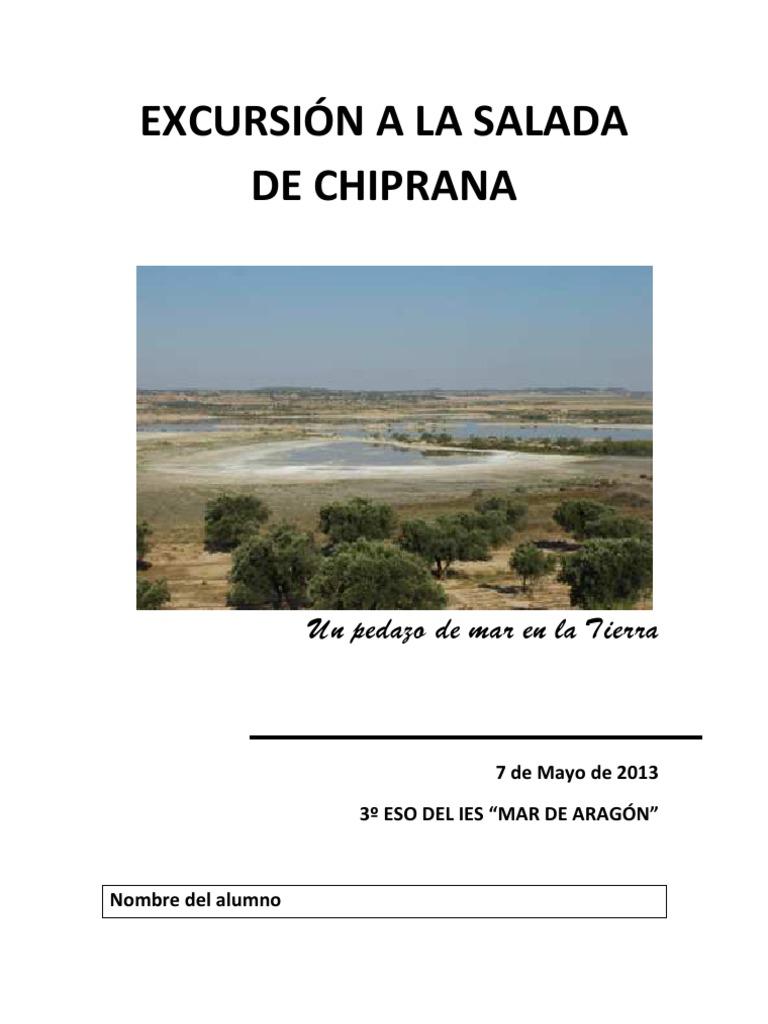 Excursion A La Salada de Chiprana PDF Humedal Agua de mar