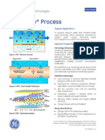 GE DeltaFlow Process - FS1114EN
