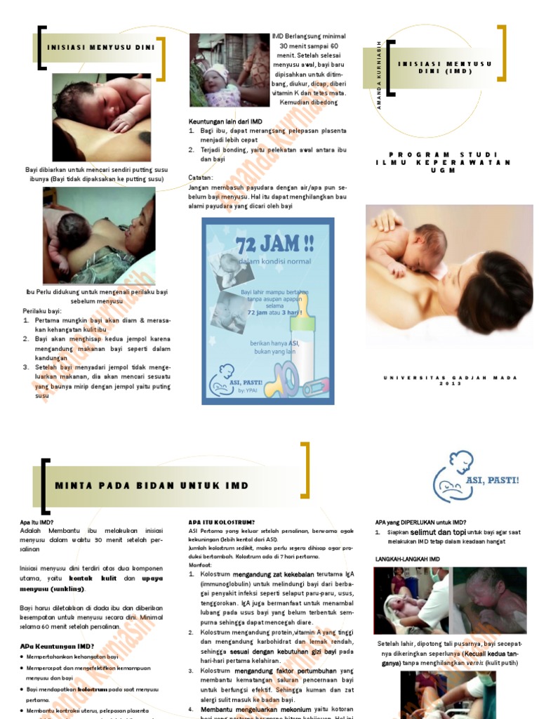 Leaflet Inisiasi Menyusu Dini
