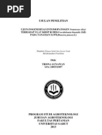 Contoh Makalah Pengolahan Pangan