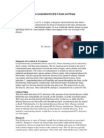 Caseous Lymphadenitis (CL) in Goats and Sheep