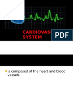 Cardivascular System