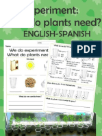 Plants Experiment What Do Plants Need