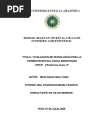 Download TESIS FERMENTACION DE CACAOpdf by Jose Diaz Pillaca SN157905210 doc pdf