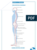 Busquet - Cadenas Musculares.pdf