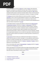 Alucinógeno.docx