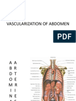 Vascularization of Abdomen