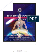 Yoga Synchrogaláctica II - As Praticas...