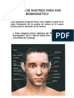 Par Biomagnetico PDF