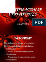 Bacterial Identification