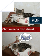 Chti Minet a Trop Chaud