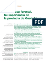 biomasa_forestal.pdf