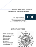 10.2 Ortomyxoviridae & Rabdovirus