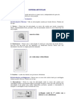 7177187 Sistema Articular