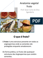 Anatomia Vegetal Fruto