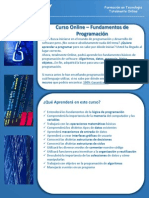 Brochure Capacity Curso Intro Prog Online