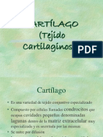 Tejido cartilaginoso