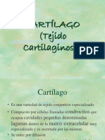 Tejido Cartilaginoso