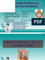 Exposicion de Histologia 27