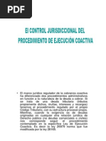 Control Jurisdiccional Ejecucion Coactiva