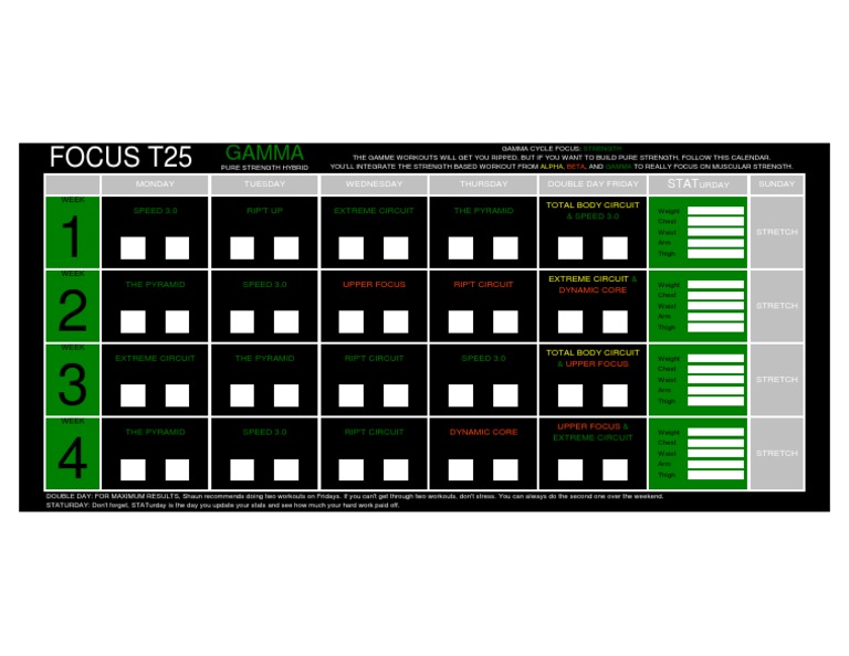 T25 Gamma Hybrid Pdf