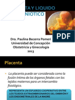 Placenta y Liquido Amniotico - Pauli