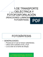 5).- Cadena de Trasporte Fotoelectricoy Fotofosforilacion