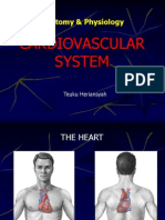 Anatomy and Physiology of the Heart (Rev)