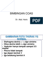 Slide Bimbingan Coas Radiologi