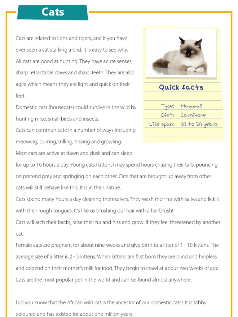 Worksheet Comprehensions For Kids cats reading comprehension for kids kitten kids