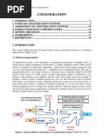 Cogeneration PDF