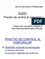 AUDIT - Practici de Control Al Conturilor, 2010