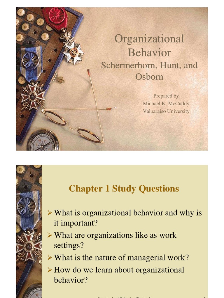 Organisational Behavior | PDF | Diversity (Business) | Perception