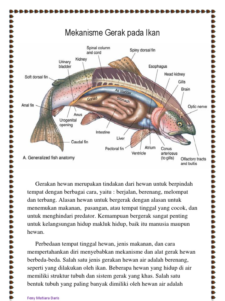 Mekanisme Gerak Pada Ikan Pdf