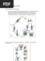 Download METAGENESIS LUMUTdocx by Ulat Buzzuck Ulat Marlon SN158214742 doc pdf