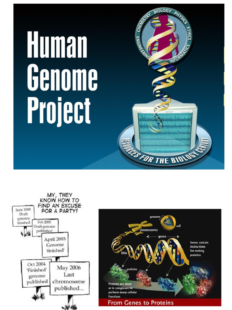 human genome project literature review