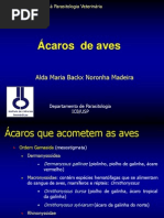 Acaros de Aves 2009