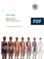 Regiones Anatomicas Abdomen