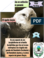 Animales en Extincion PDF