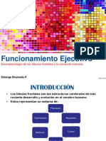 funcionamiento ejecutivo