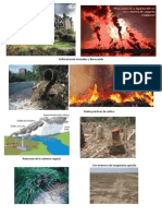 Deforestación Incendios y Lluvia Acida